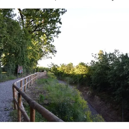 Monolocale Tra Torino E Alba In Centro 솜마리바 델 보스코